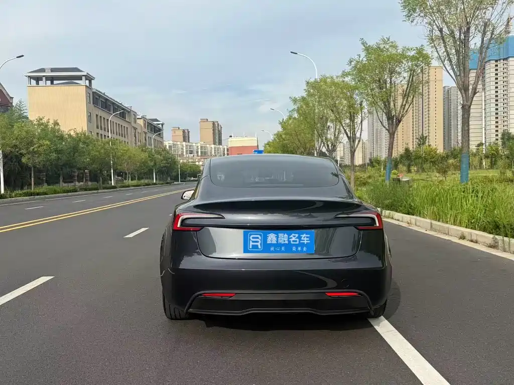 Tesla Model 3 — миниатюра 32