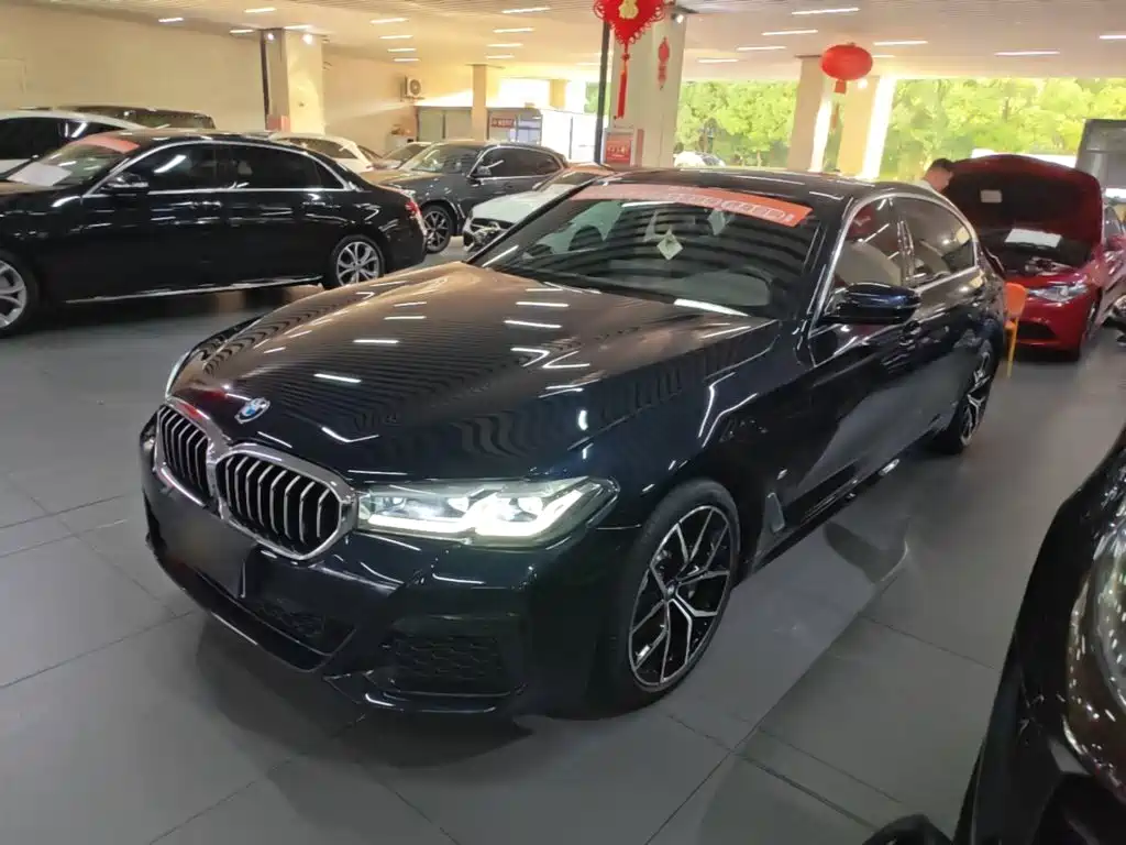 BMW 5 Series — миниатюра 2
