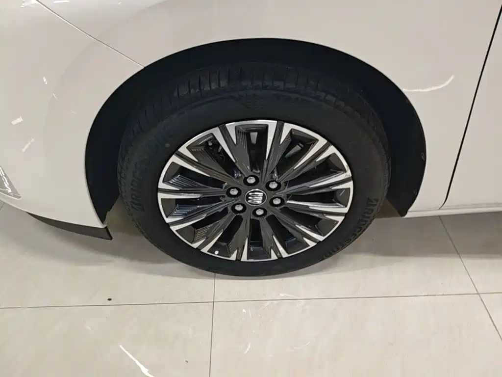 Buick GL8 — миниатюра 23