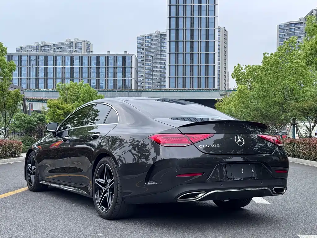 Mercedes-Benz CLS 2022 CLS 300 Luxury