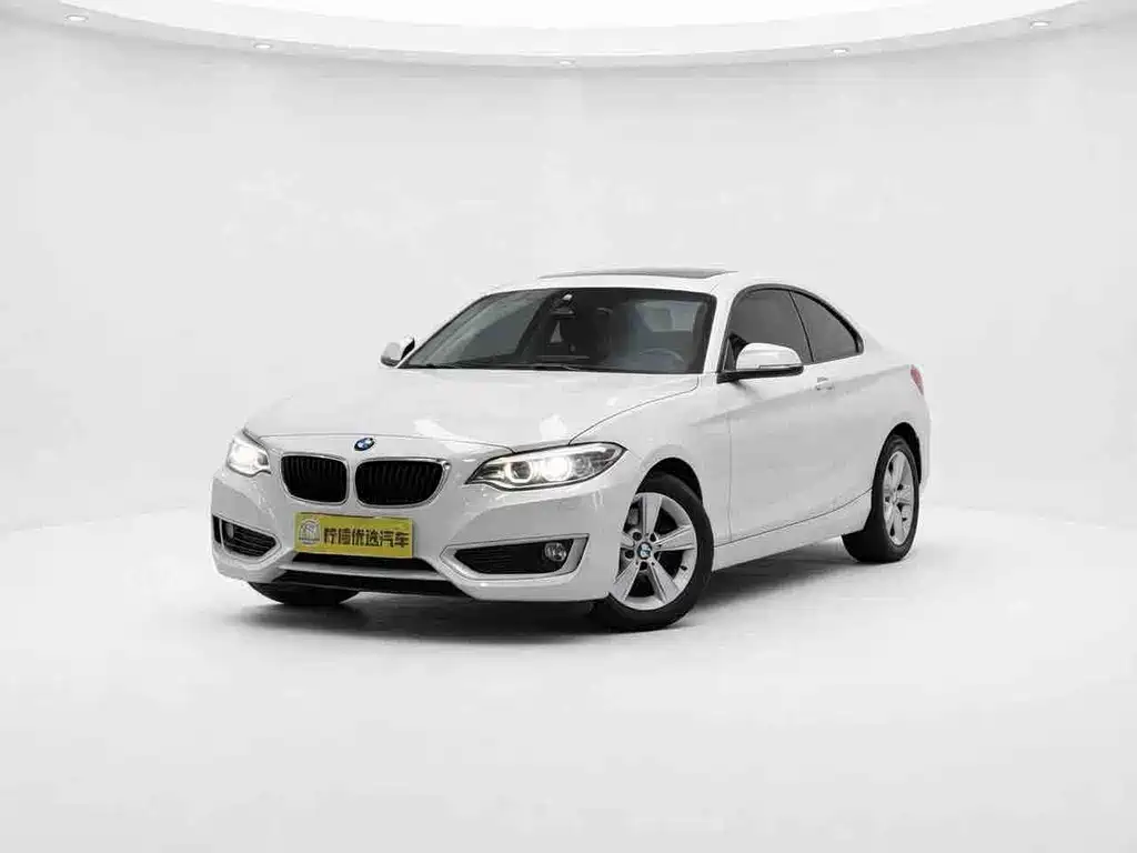 BMW 2 Series 2 2014 220i Lead