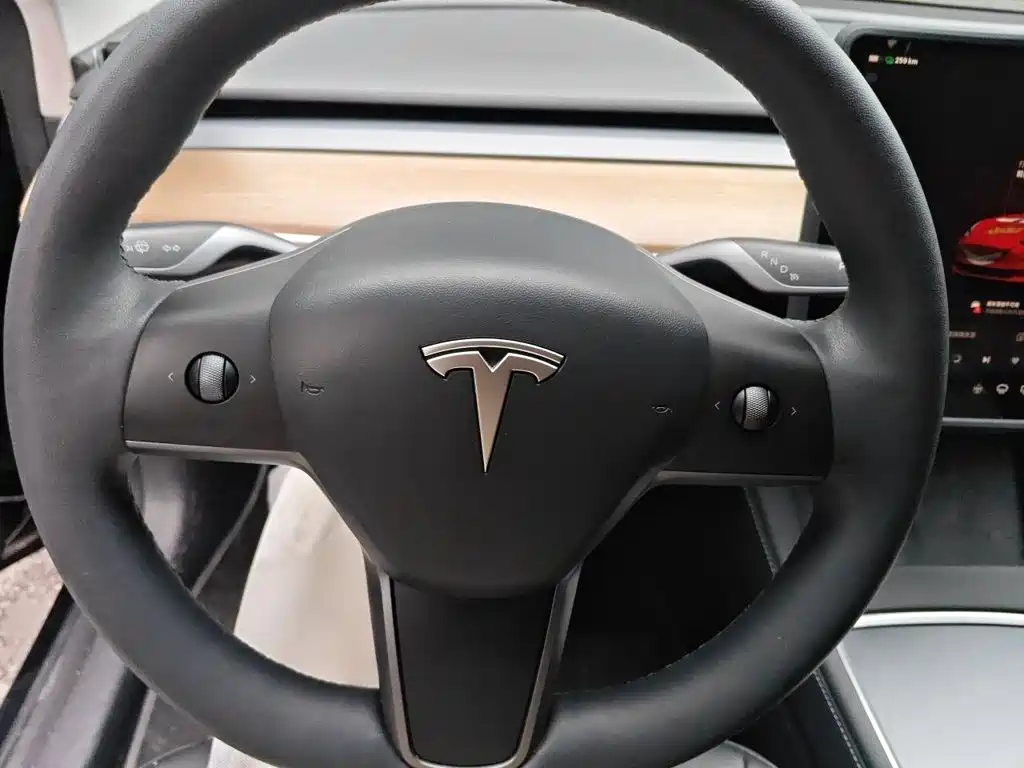 Tesla Model 3 — миниатюра 4