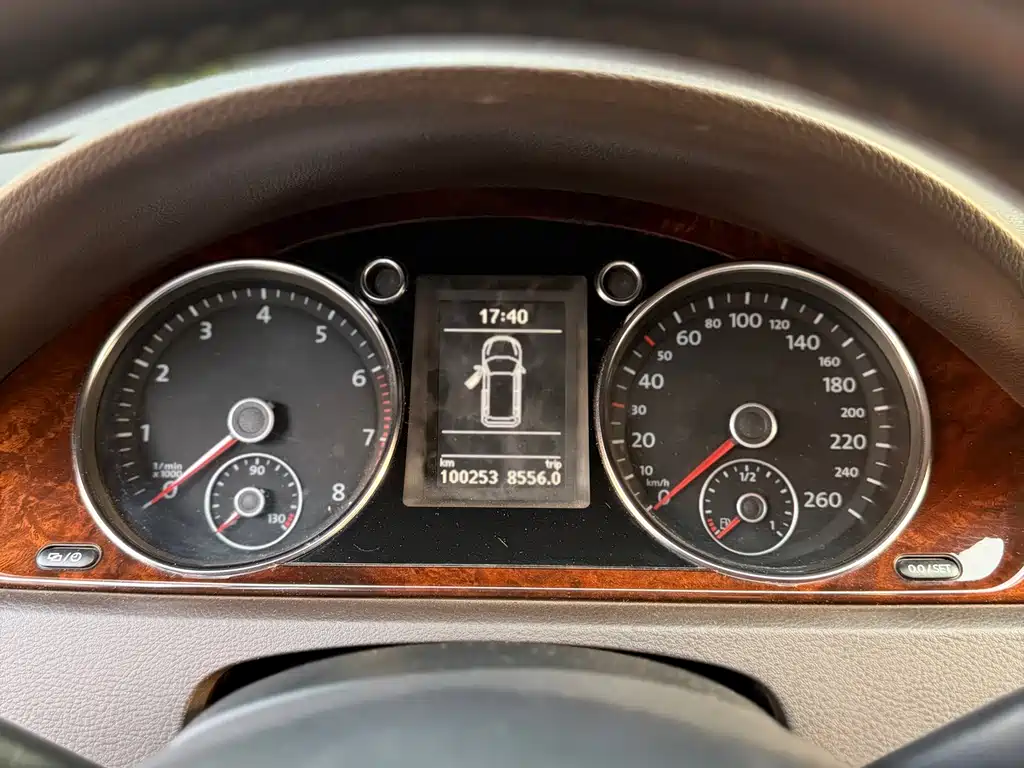 Volkswagen Magotan (Import) — миниатюра 6
