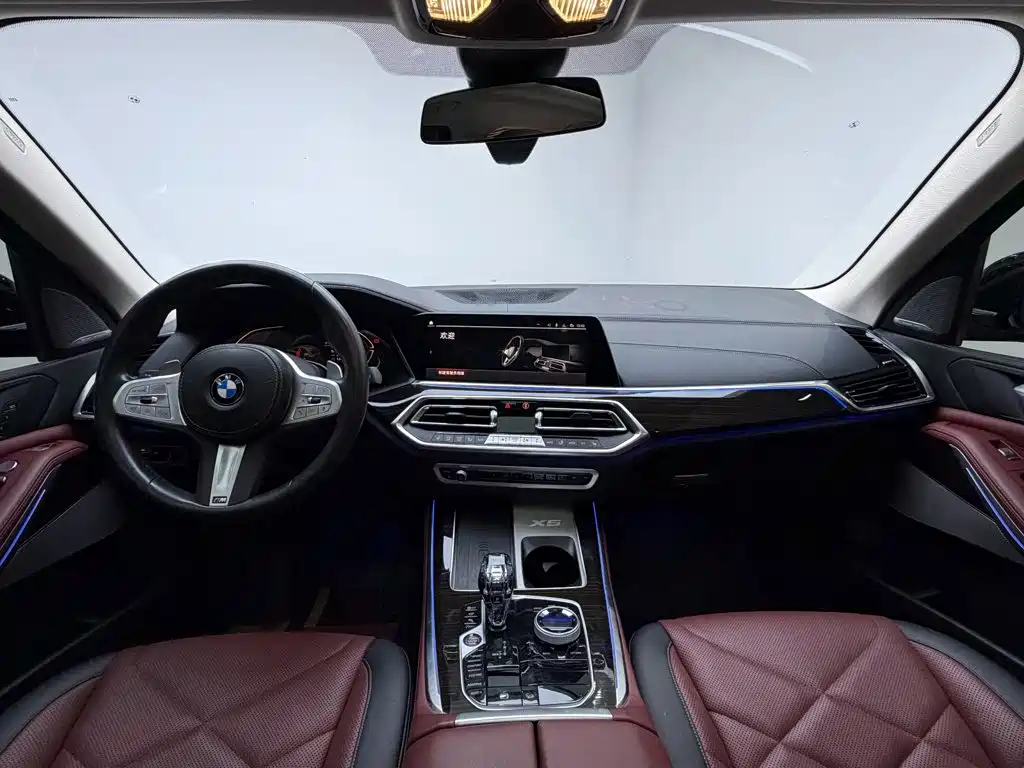 BMW X5 — миниатюра 11