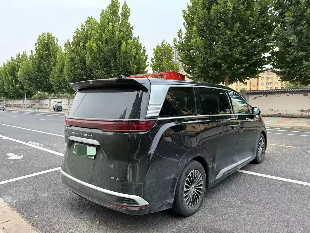 Denza Denza D9 — миниатюра 7