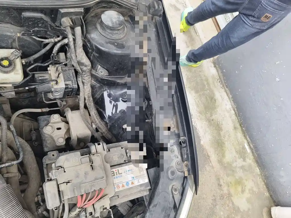 Volkswagen Lavida — миниатюра 22