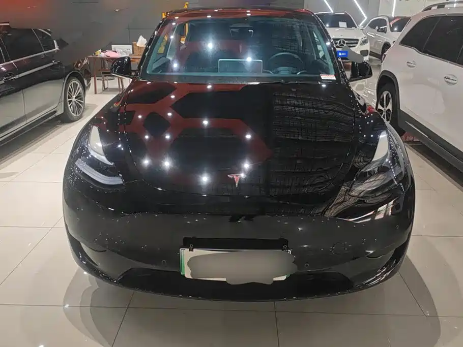 Tesla Model Y — миниатюра 2