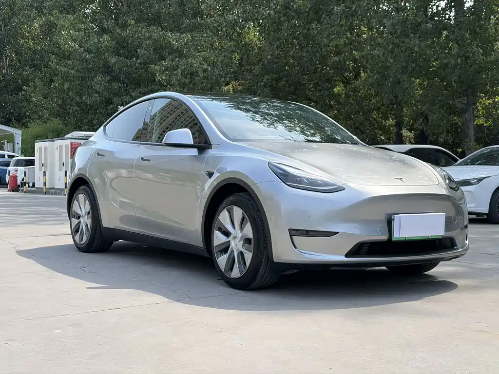 Tesla Model Y — миниатюра 6