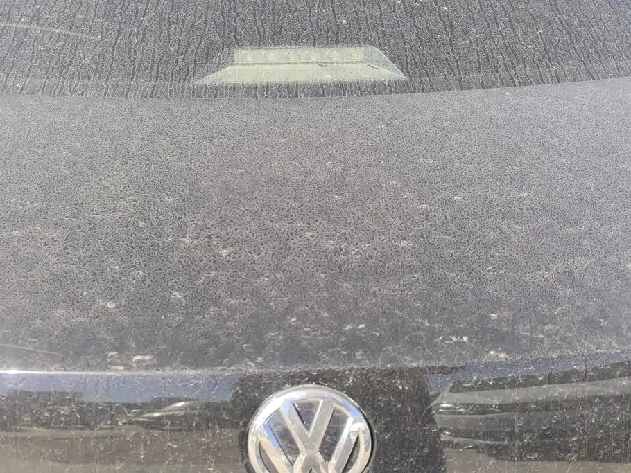Volkswagen Lavida — миниатюра 4