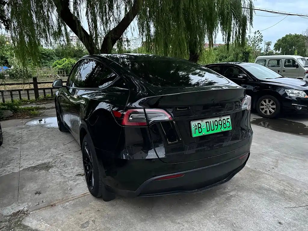 Tesla Model Y — миниатюра 4
