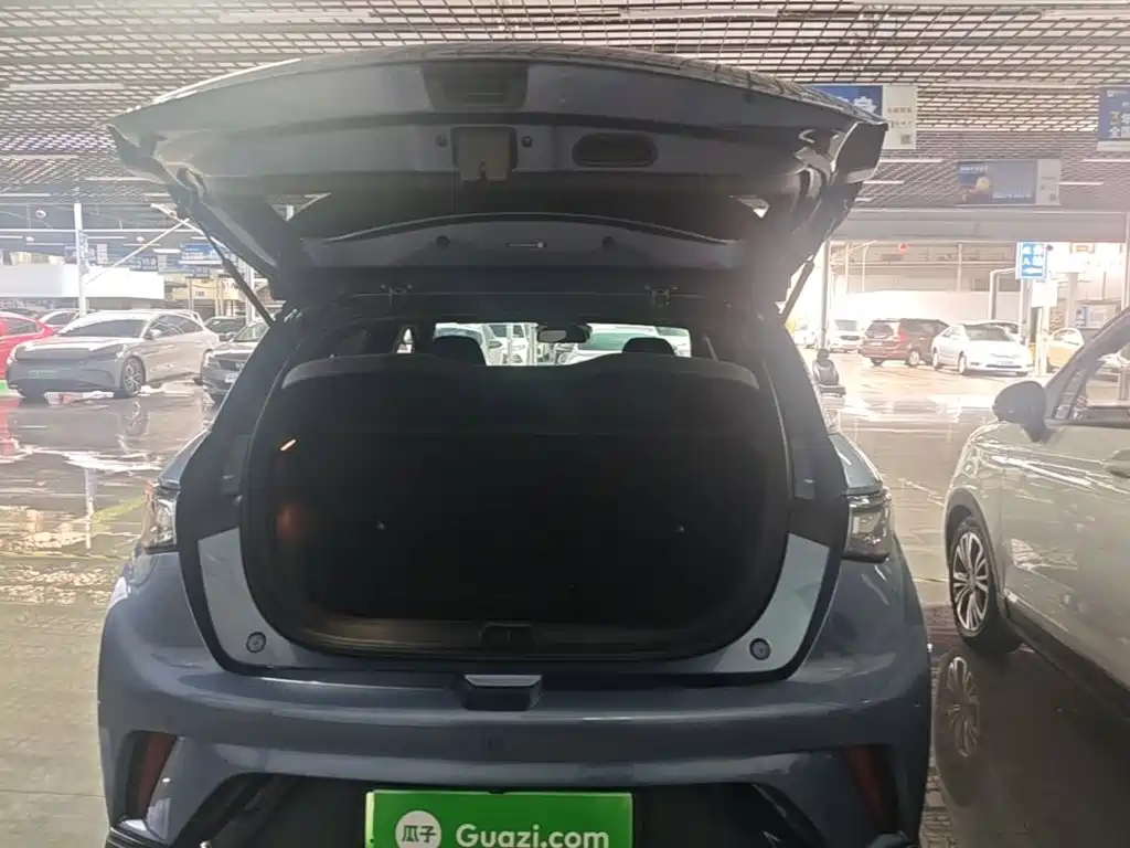BYD Dolphin — миниатюра 19