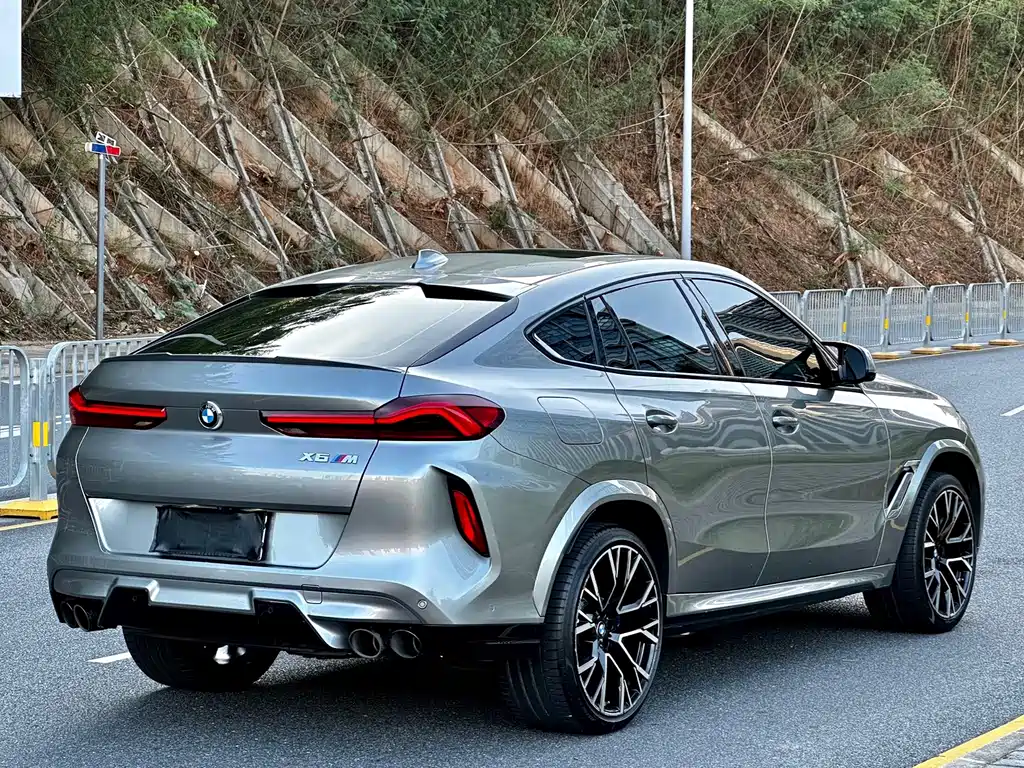 BMW X6 M X6 M, фото 6