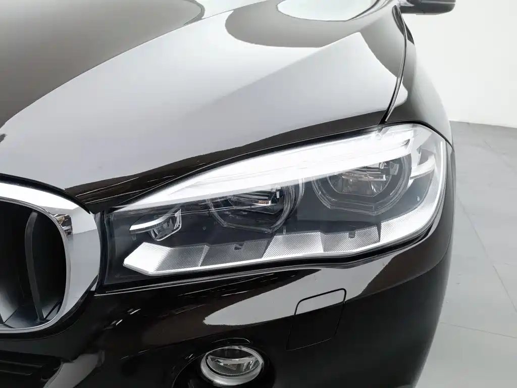 BMW X5 (Import) — миниатюра 7