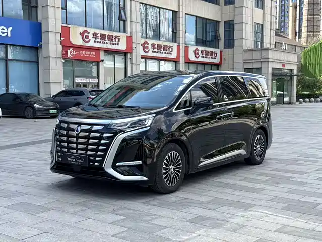 2024 Denza D9