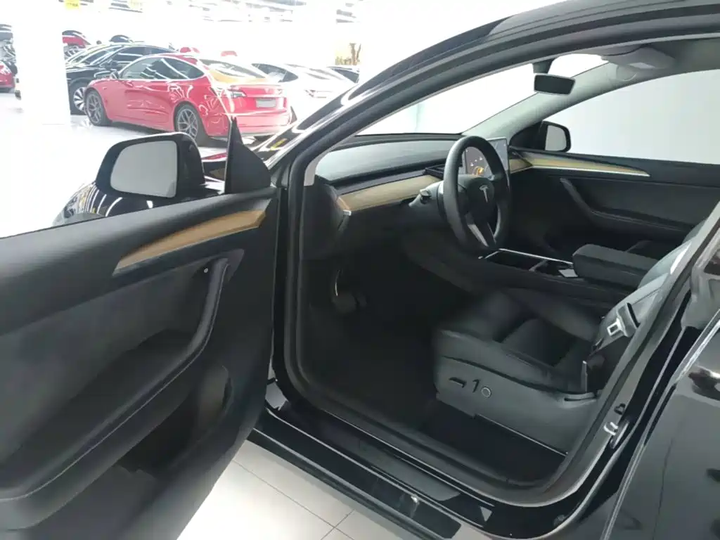 Tesla Model Y — миниатюра 16