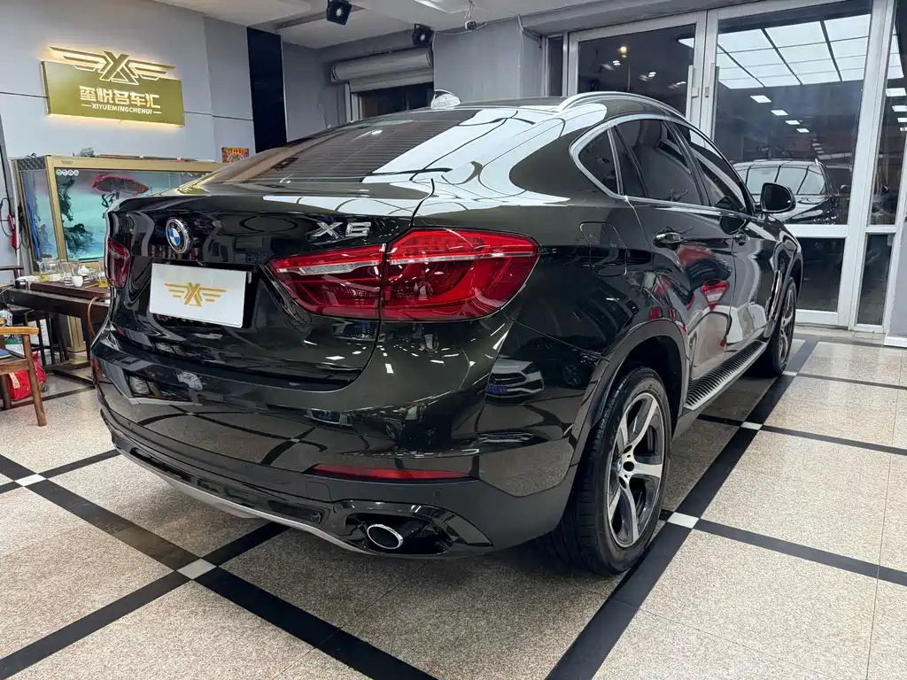 BMW X6
