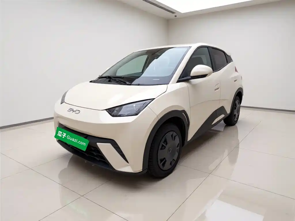 Byd Seagull 2024