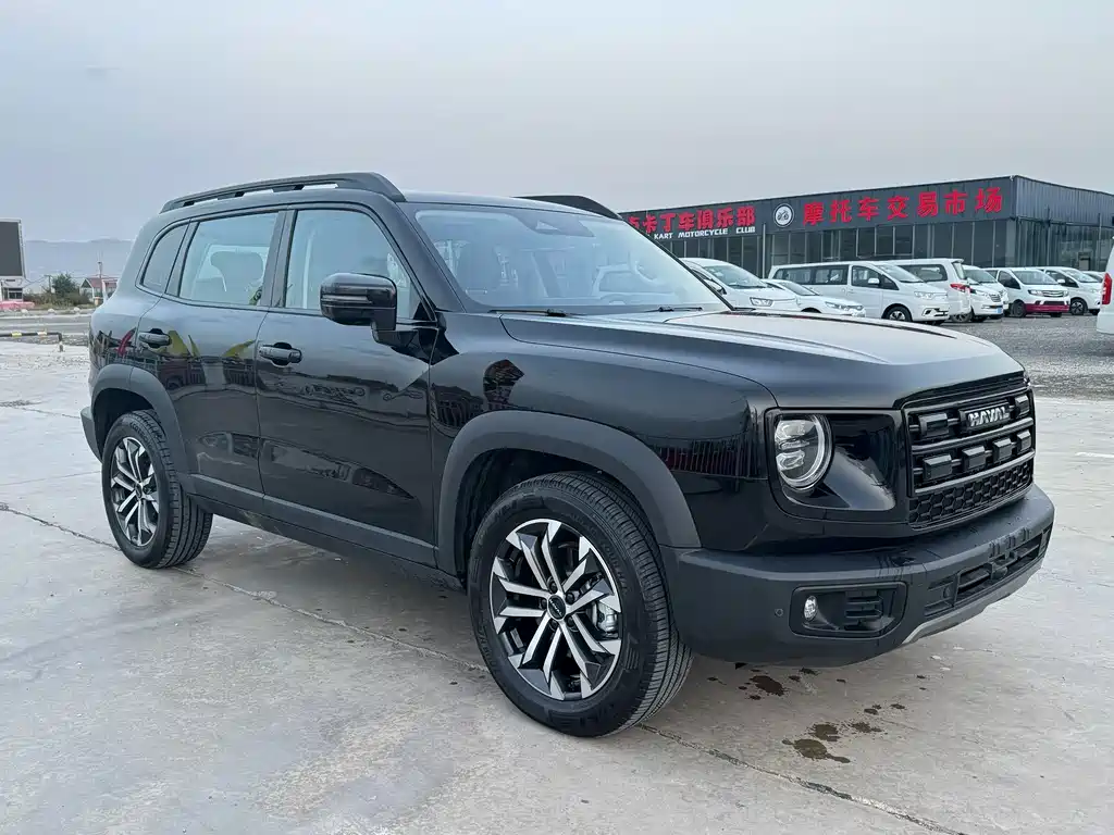 Haval 长城大狗 — миниатюра 3