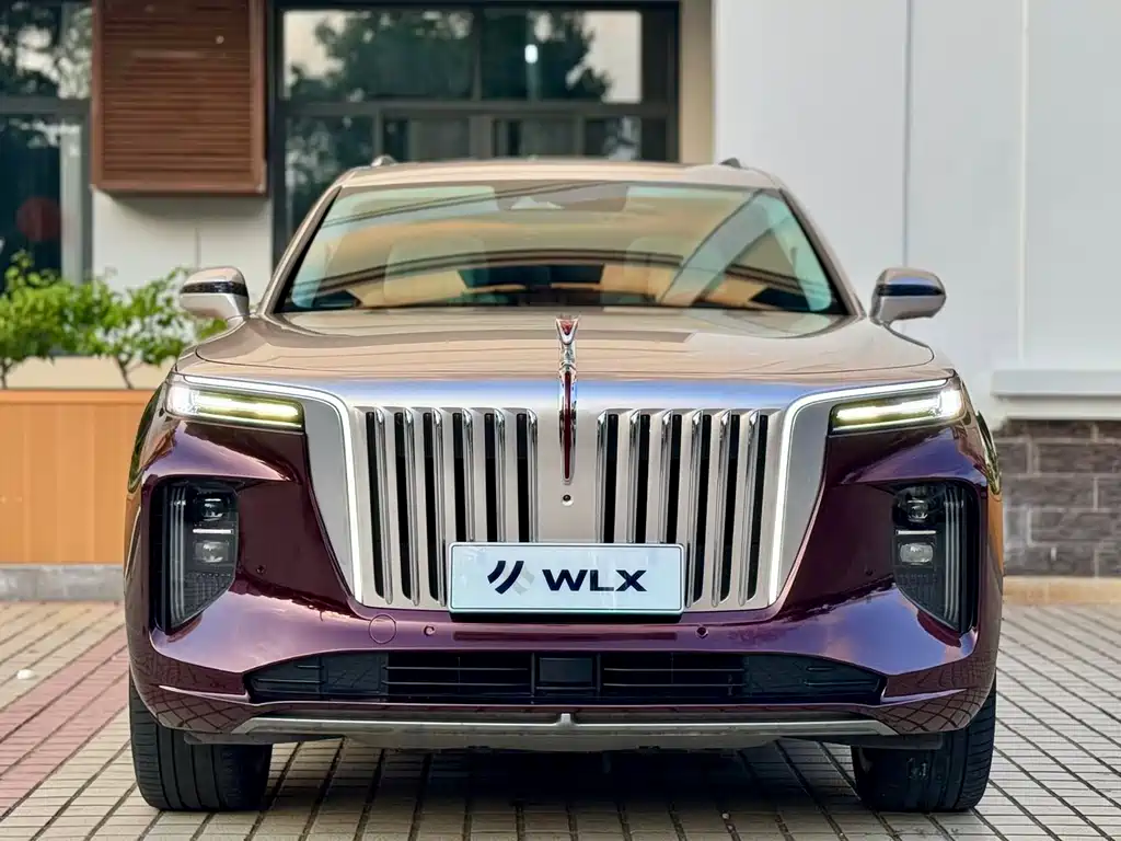 Hongqi E-HS9 2021 510km мест