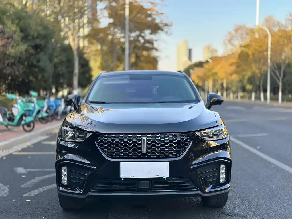 WEI PAI WEI BRAND VV5