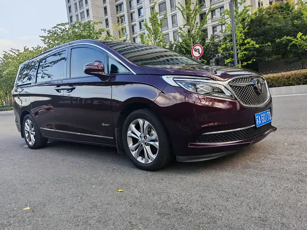 Buick GL8 — миниатюра 3