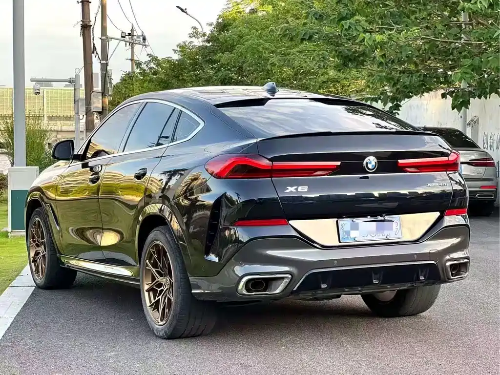 BMW X6 — миниатюра 7