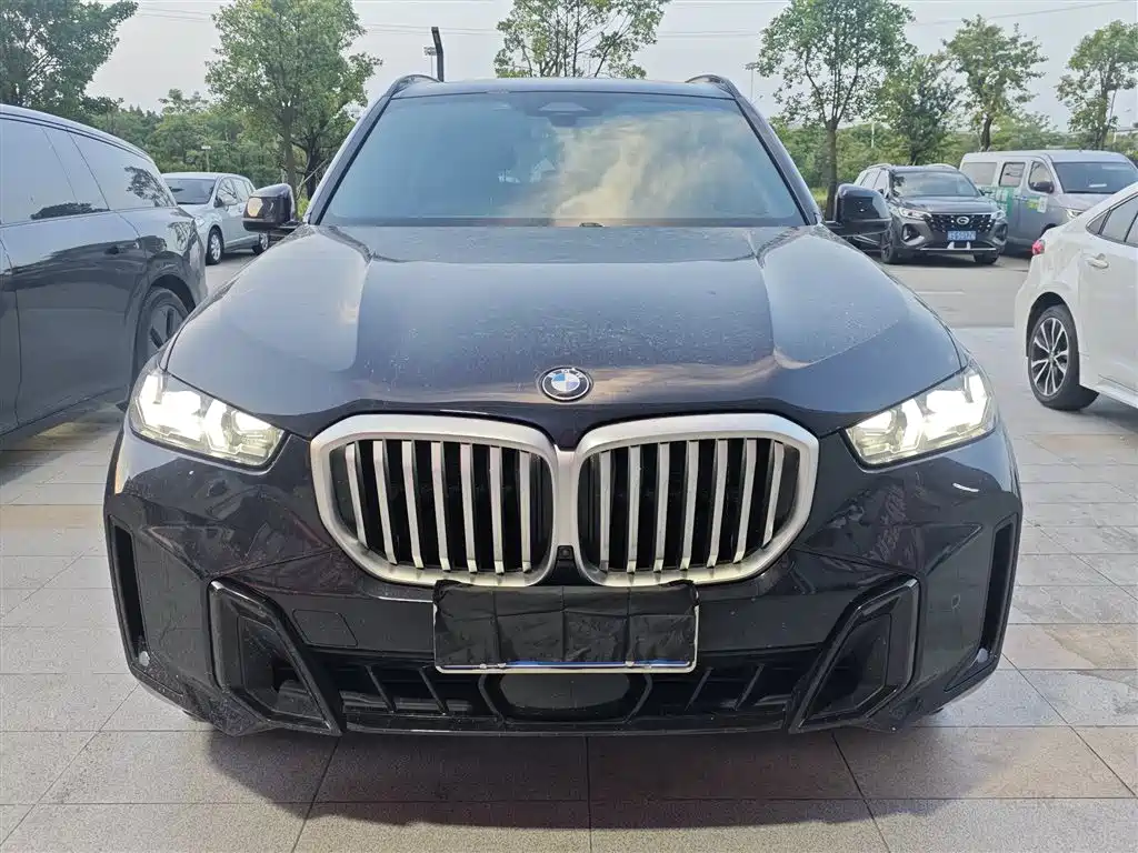 BMW X5 — миниатюра 6