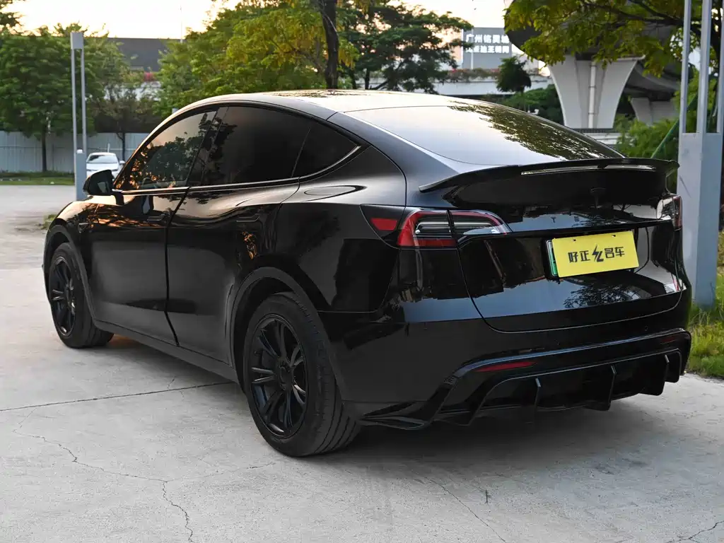 Tesla Model Y — миниатюра 4