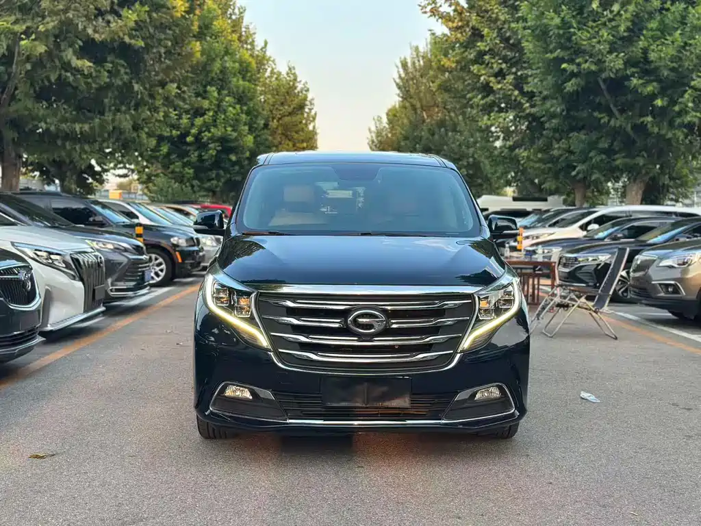 GAC Motor Trumpchi M8 — миниатюра 3