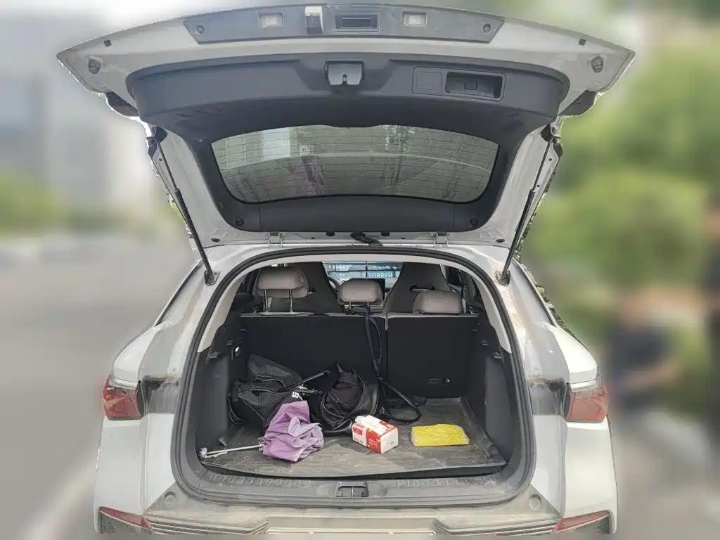 BYD Yuan Plus — миниатюра 15