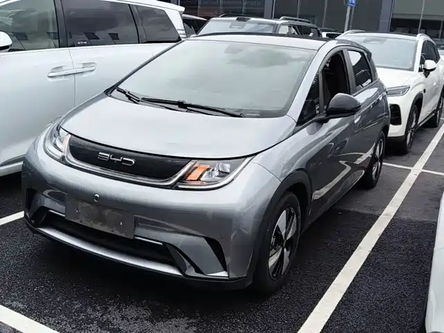 2023 BYD Dolphin