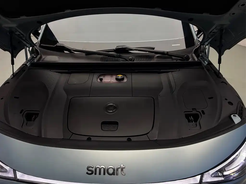 smart Smart #3 — миниатюра 19