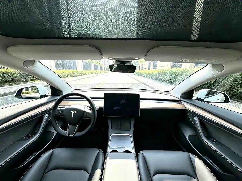 Tesla Model 3 — миниатюра 4