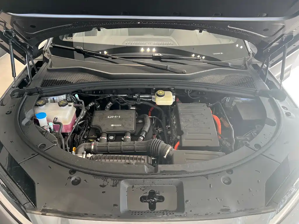 BYD SONGJIANG NEW ENERGY