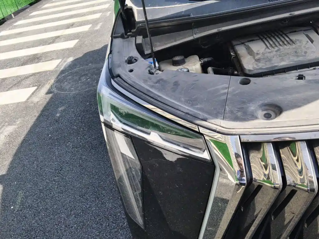 GAC Motor Trumpchi M8 — миниатюра 7