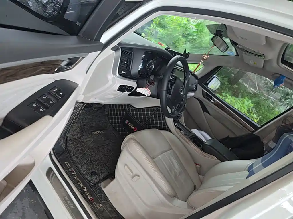 GAC Motor Trumpchi M8 — миниатюра 16