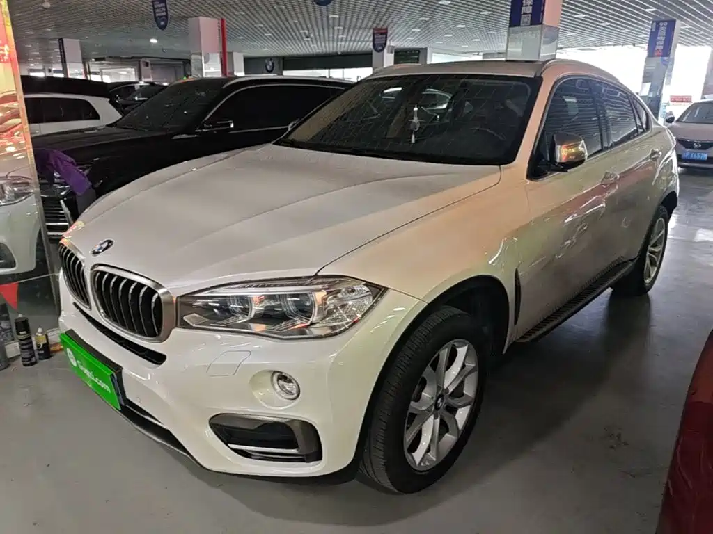 BMW X6 — миниатюра 2