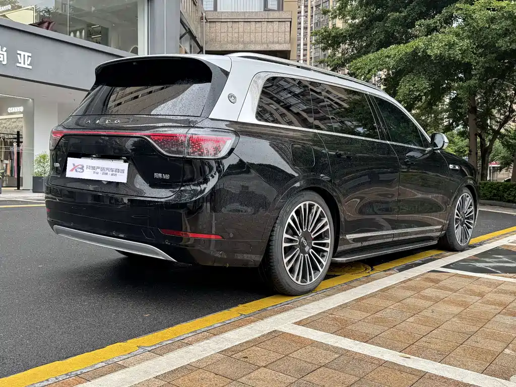 AITO Wenjie AITO M9 — миниатюра 6