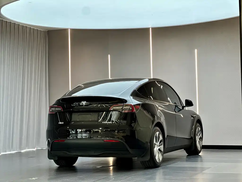 Tesla Model Y — миниатюра 8