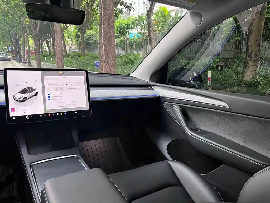 Tesla Model Y — миниатюра 10