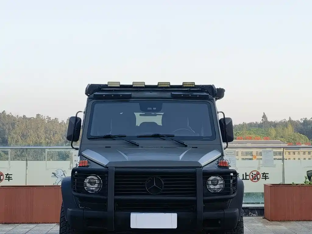 Mercedes-Benz G-Class G 2004 G 500