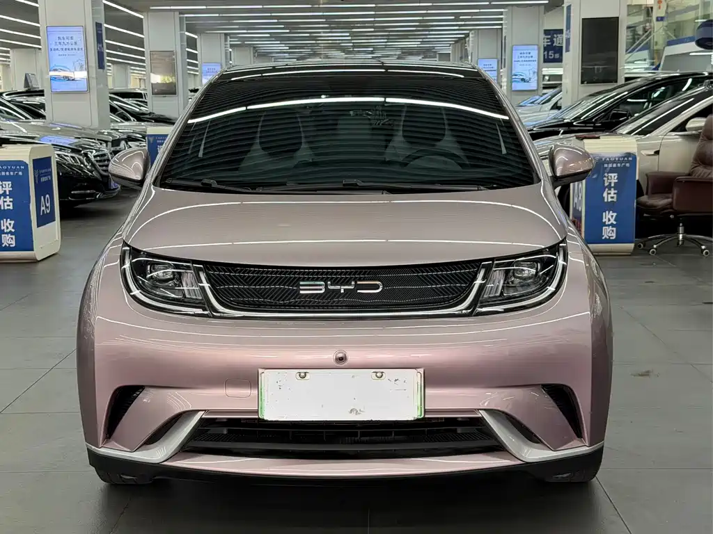 BYD Dolphin — миниатюра 2