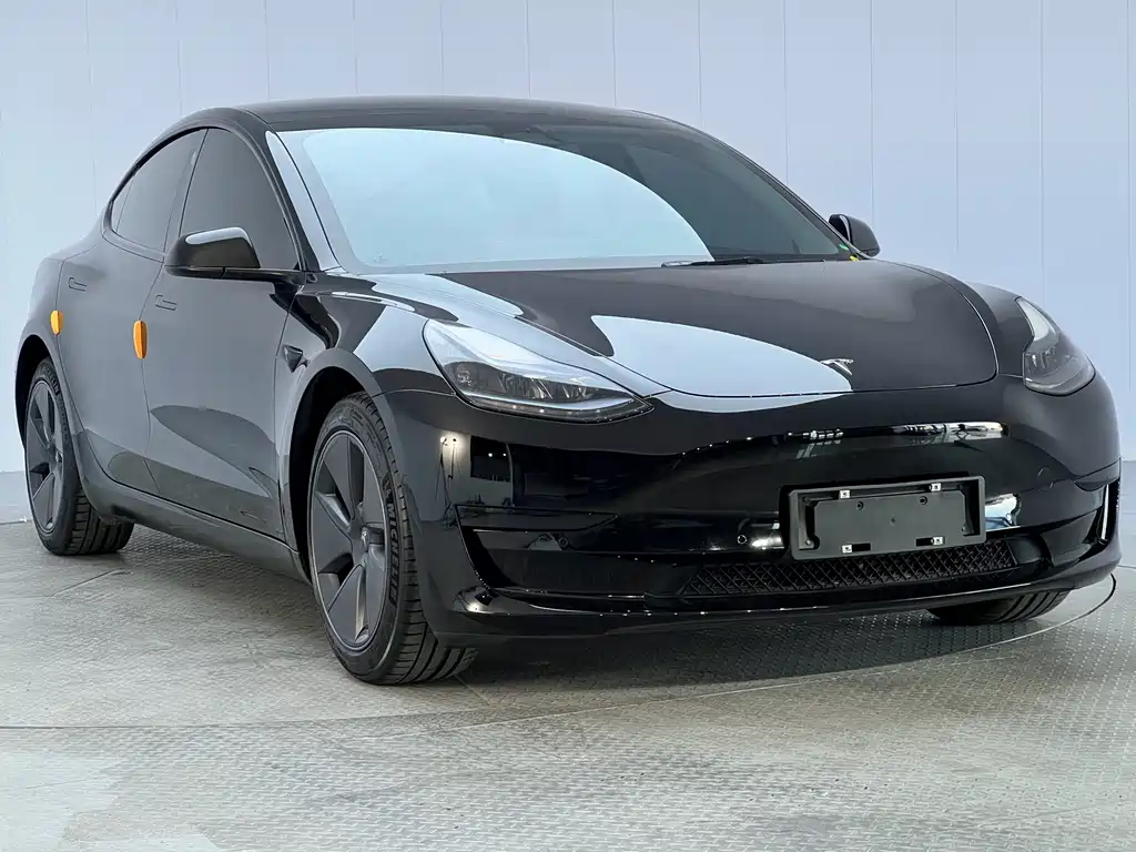 Tesla Model 3 — миниатюра 3