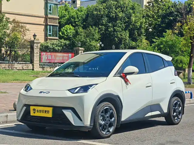 2025 BYD Seagull