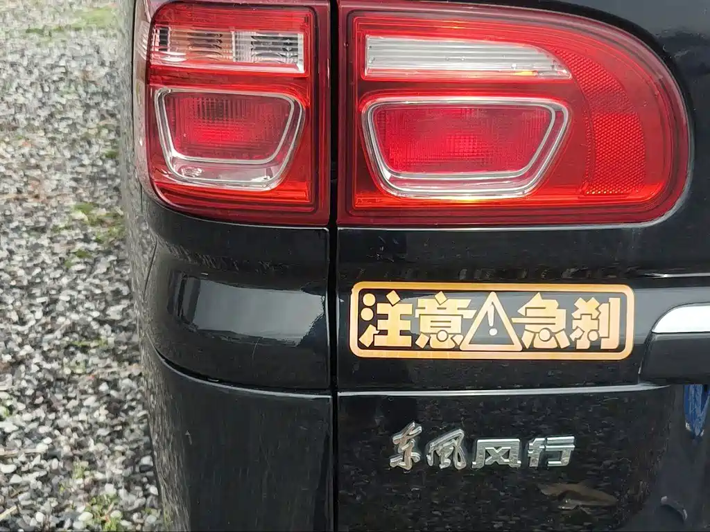 DONGFENG LINGZHI
