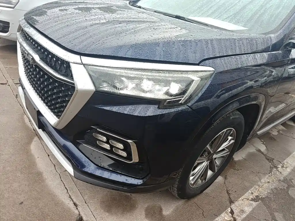 Jetour X95 1.5T 手动发现版 7座, фото 24