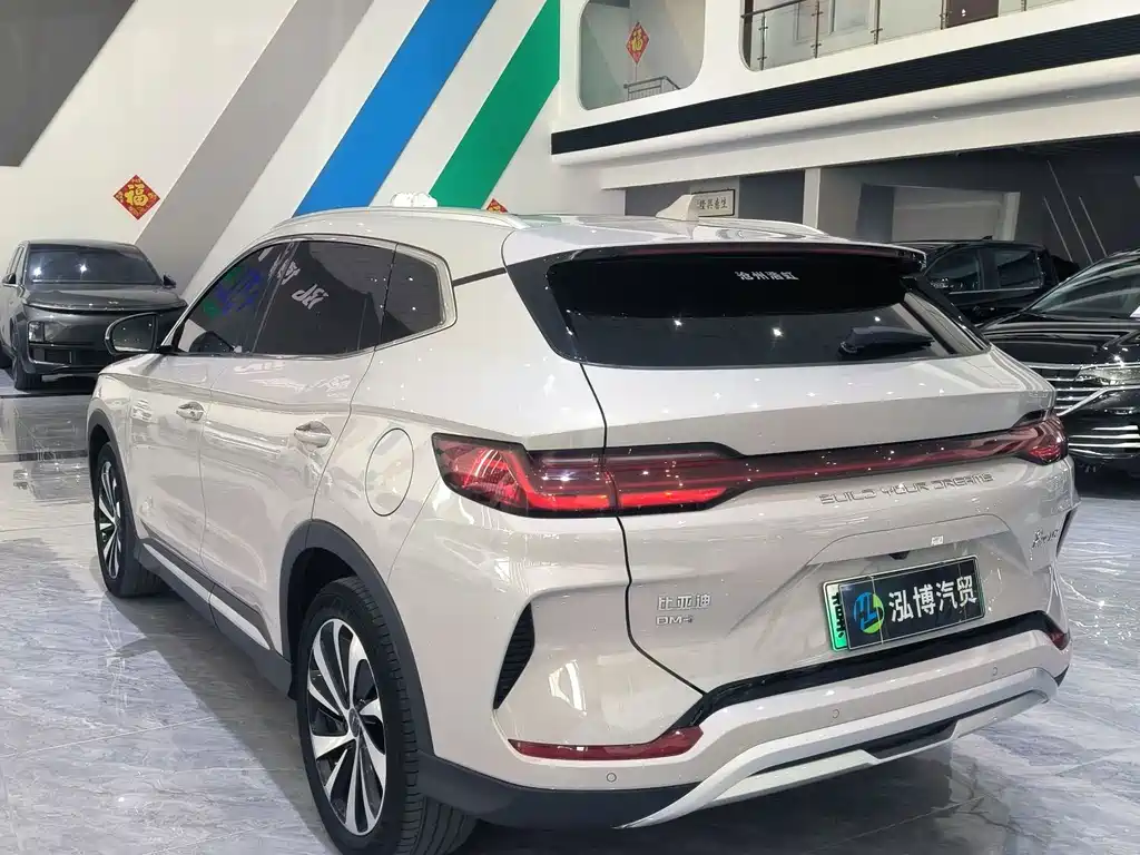BYD PLUS New Energy — миниатюра 13