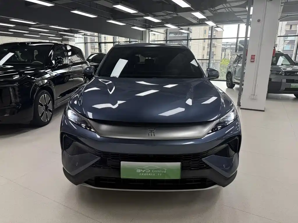 BYD Pro New Energy — миниатюра 2