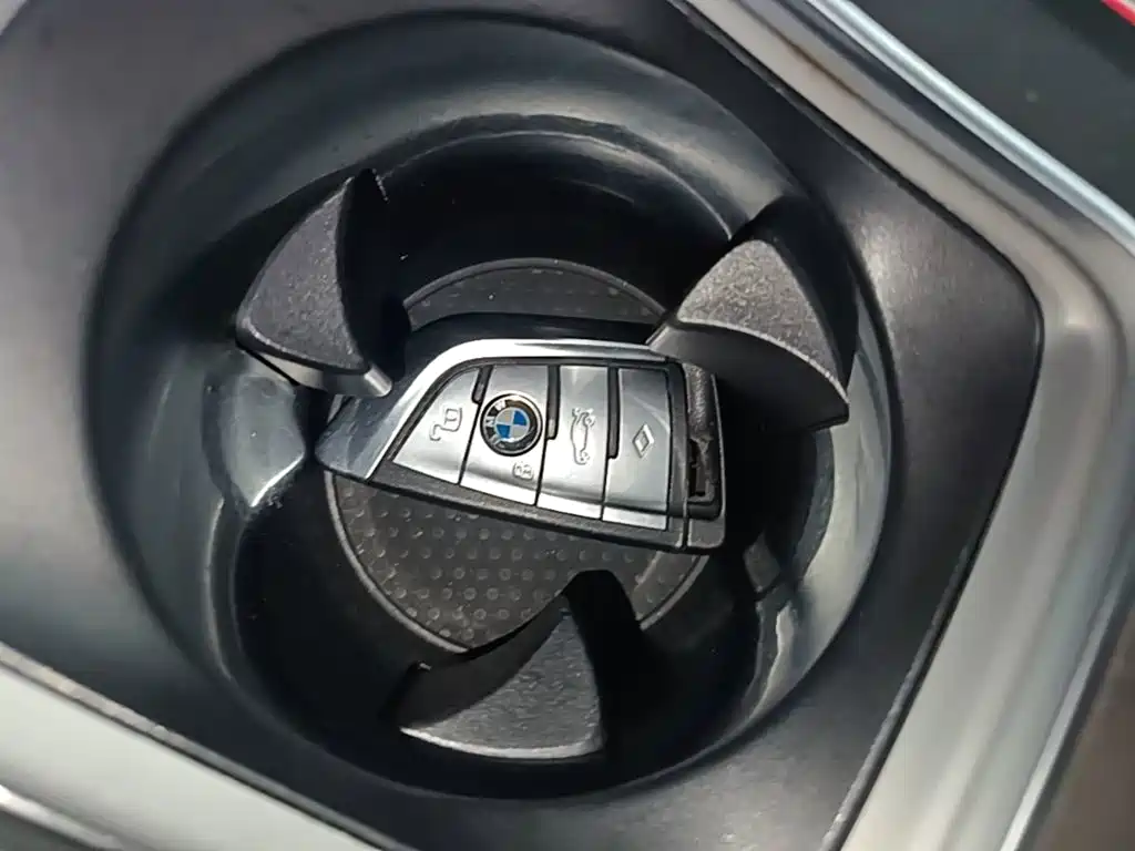 BMW X5 — миниатюра 9