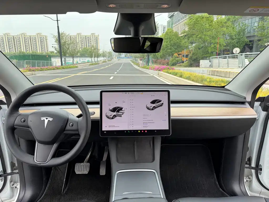 Tesla Model Y — миниатюра 5